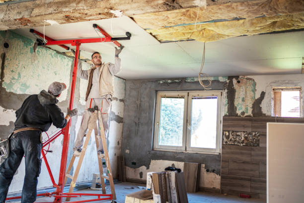 Best Insulation Installation Services in Oracle, AZ